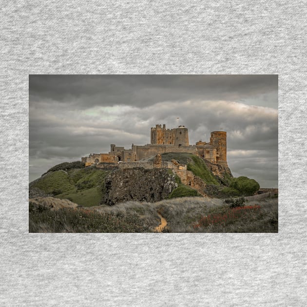 Bamburgh Castle Northumberland by tynesidephotos